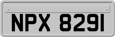 NPX8291
