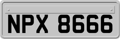 NPX8666