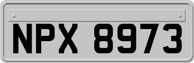 NPX8973