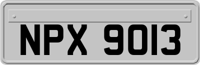 NPX9013