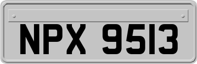 NPX9513