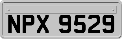 NPX9529