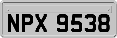 NPX9538