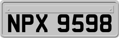 NPX9598