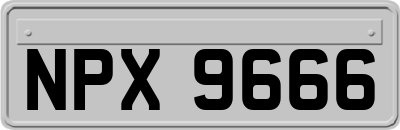 NPX9666