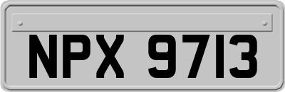 NPX9713