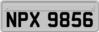 NPX9856
