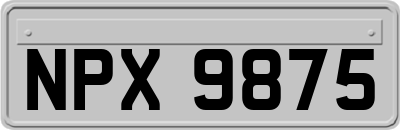 NPX9875