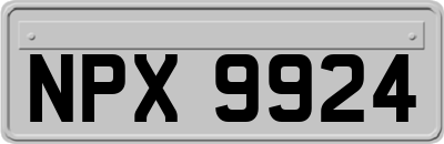 NPX9924