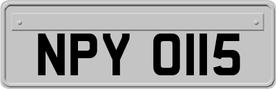 NPY0115