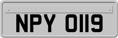NPY0119