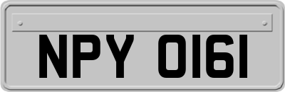 NPY0161