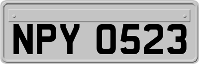 NPY0523
