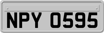 NPY0595
