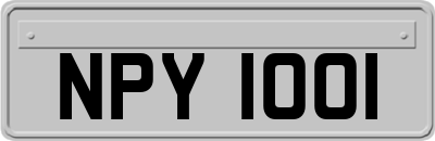 NPY1001