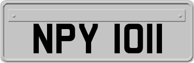 NPY1011