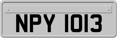 NPY1013