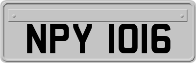 NPY1016