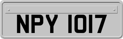 NPY1017