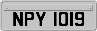 NPY1019