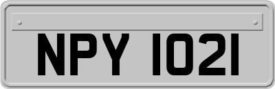 NPY1021