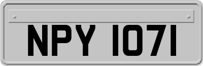 NPY1071