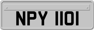 NPY1101