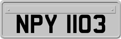 NPY1103