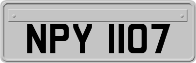 NPY1107