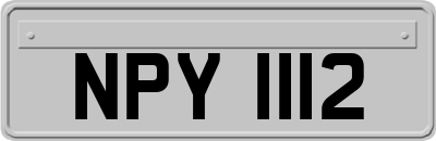 NPY1112