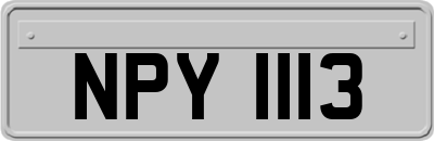 NPY1113