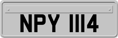 NPY1114