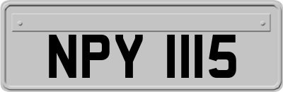 NPY1115