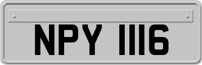NPY1116