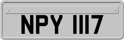 NPY1117