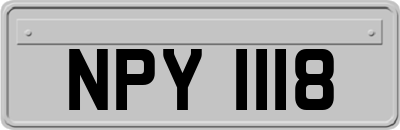 NPY1118