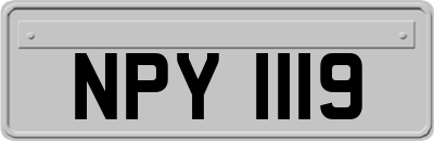 NPY1119