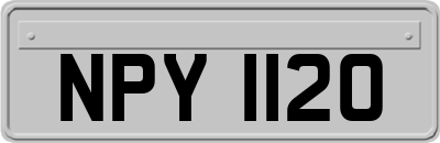 NPY1120