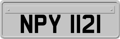 NPY1121