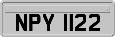 NPY1122