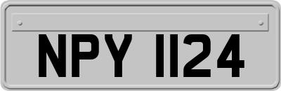 NPY1124