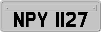 NPY1127