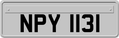 NPY1131