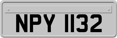 NPY1132