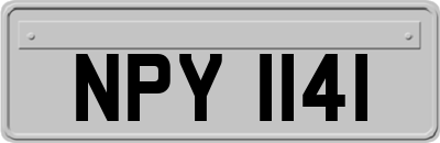 NPY1141
