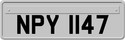 NPY1147