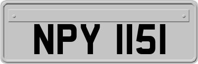 NPY1151
