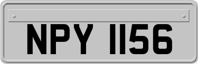 NPY1156