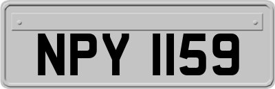 NPY1159