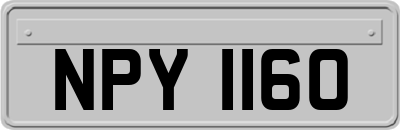 NPY1160